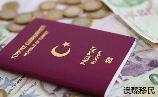 2020年土耳其护照持续“升温”，投资移民土耳其正当时1.jpg