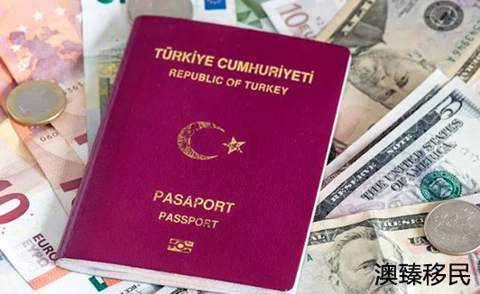 移民土耳其政策介绍2020，赶快抢先了解一下2.JPG
