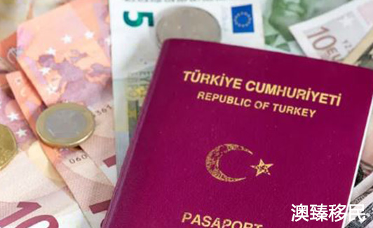 土耳其护照劣势有哪些，这四个缺点有必要了解一下.JPG