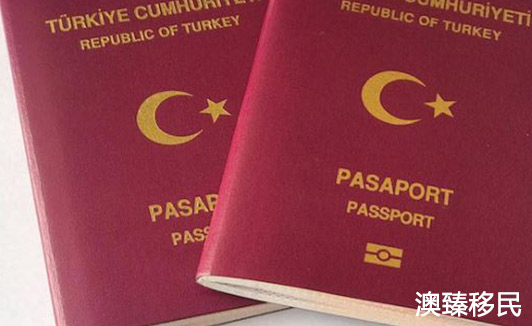 土耳其护照免签国家一览表，2020年前往这些国家真是太方便了2.JPG